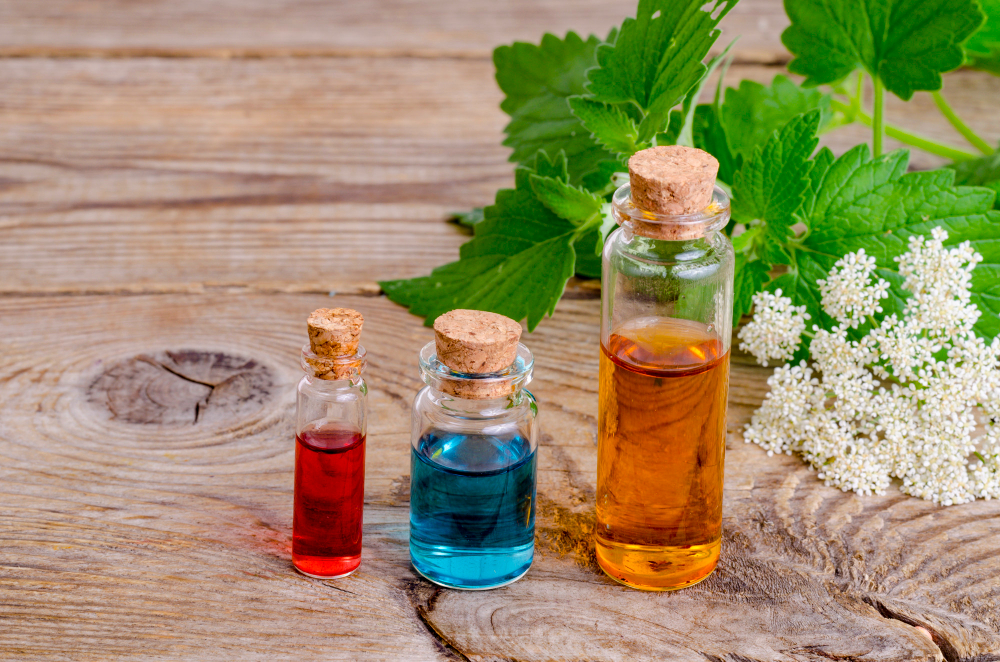 Tinctura de anghinare: Detoxifiantul natural pentru ficat și vezica biliară