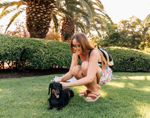 Cele mai frumoase destinații pentru vacanțe pet friendly