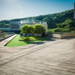 Pavele permeabile pentru alei eco‑friendly