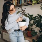 Cum alegi plantele ideale pentru un decor interior minimalist