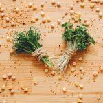 Alfalfa: beneficii pentru detoxifiere și energie