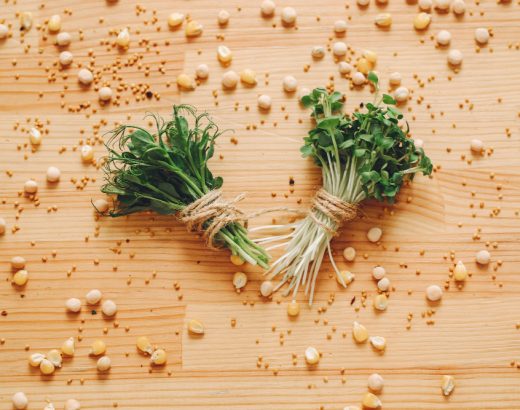 Alfalfa: beneficii pentru detoxifiere și energie