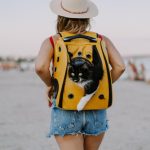 Ghid pentru vacanțe cu animale de companie