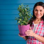 Ce poți cultiva cu succes în ghivece și jardiniere